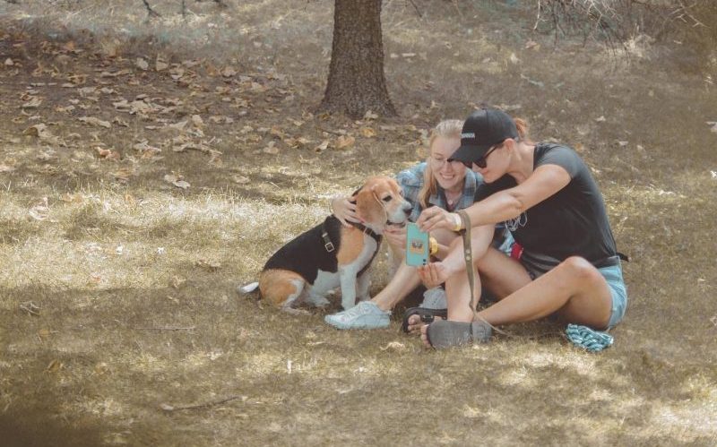 Pets Fest 2025 в Минске