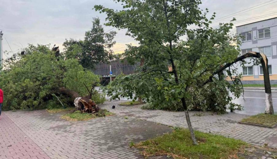 ураган Могилев