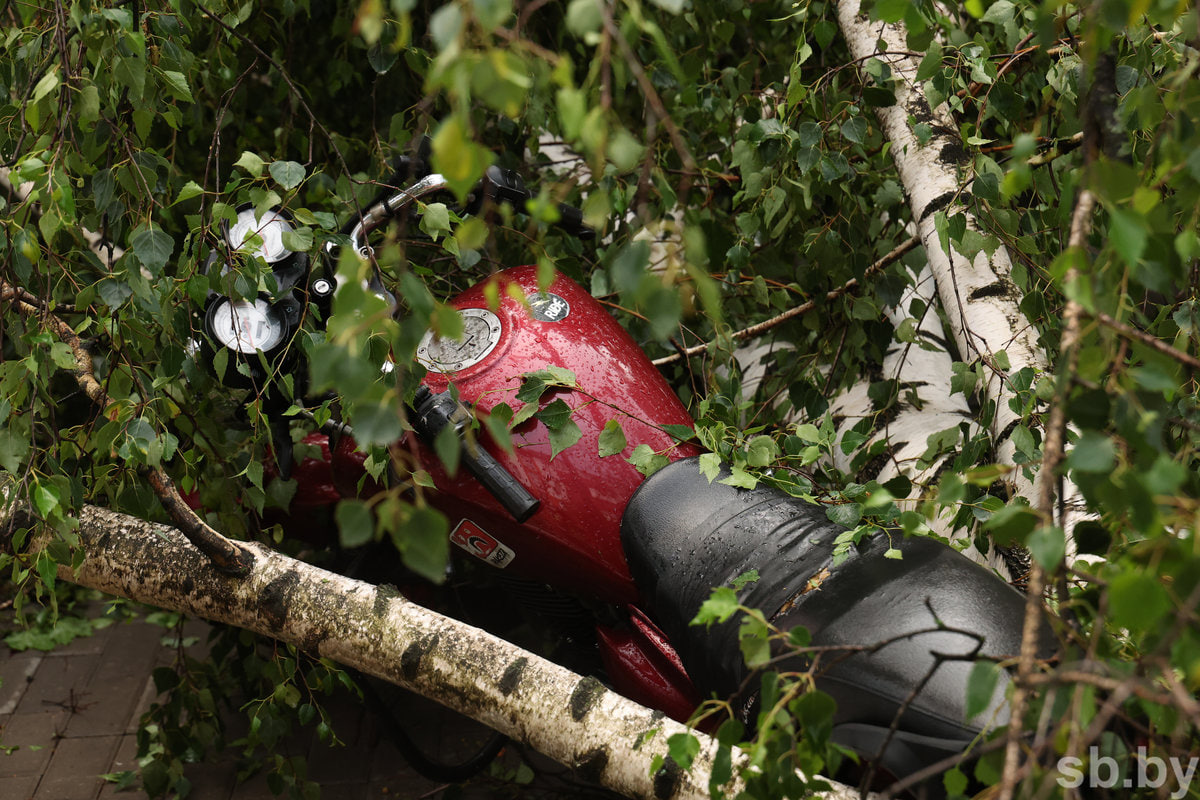 ураган Могилев