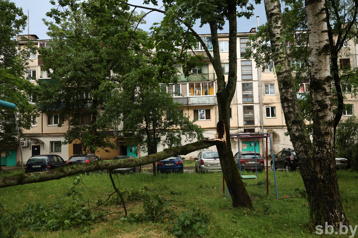 ураган Могилев