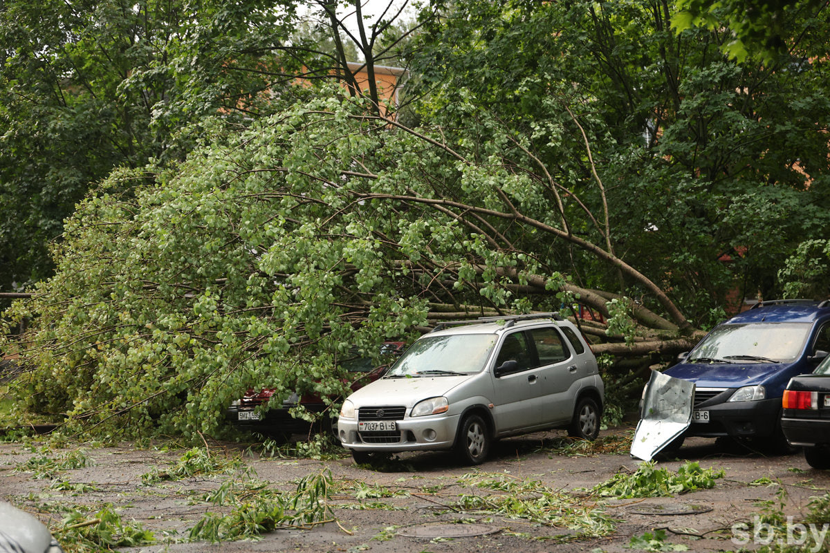 ураган Могилев