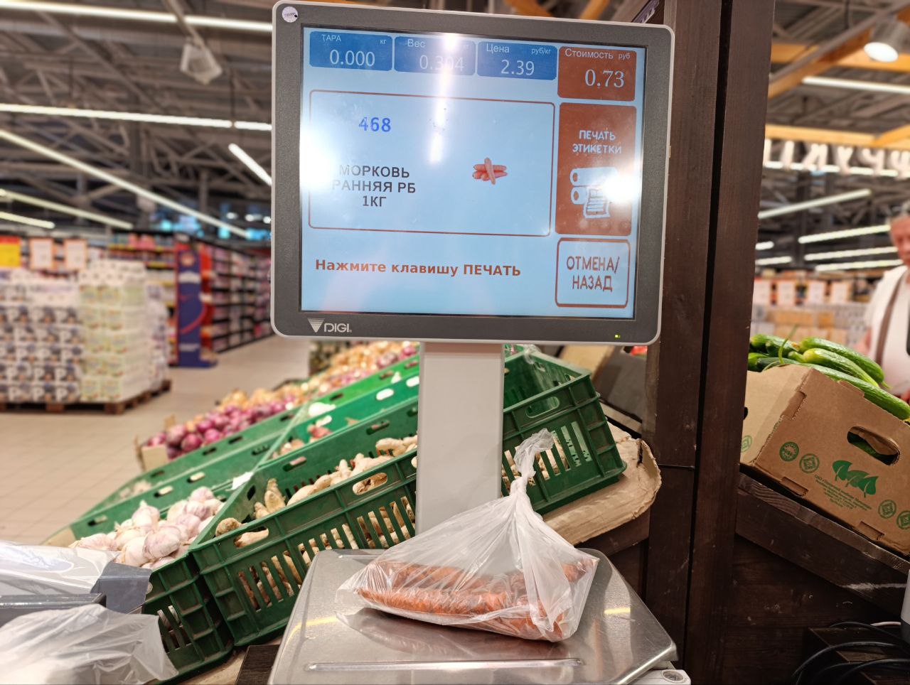 морковь весы