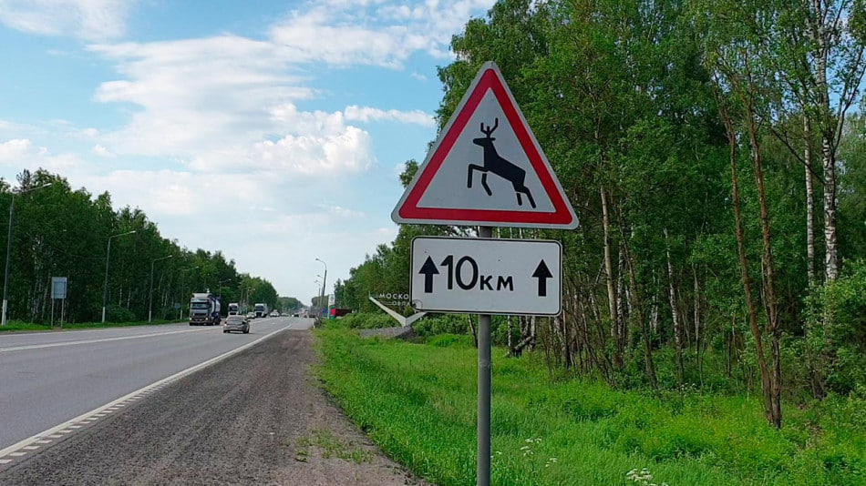 дорога знак дикие животные