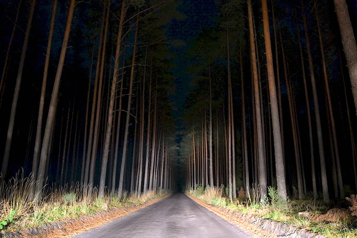 дорога ночь