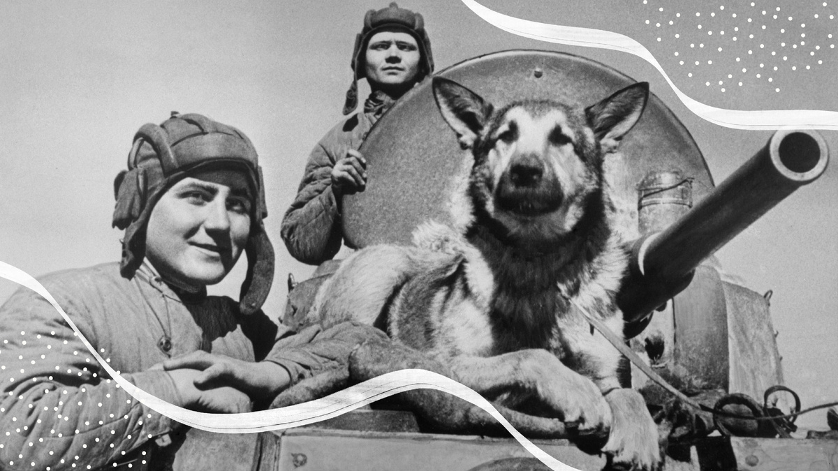 Собака Джульбарс