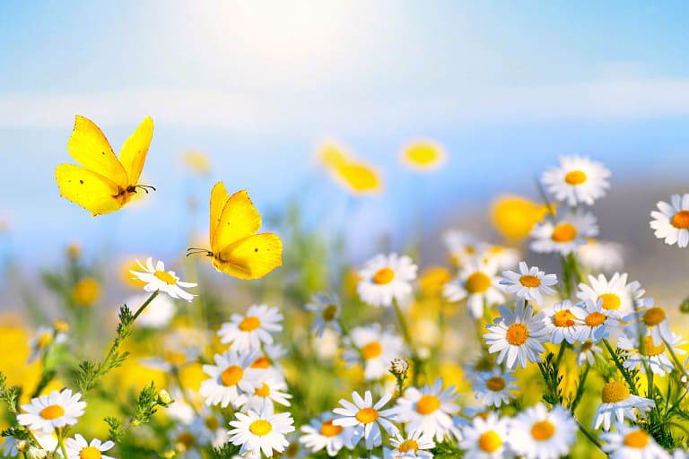 погода лето