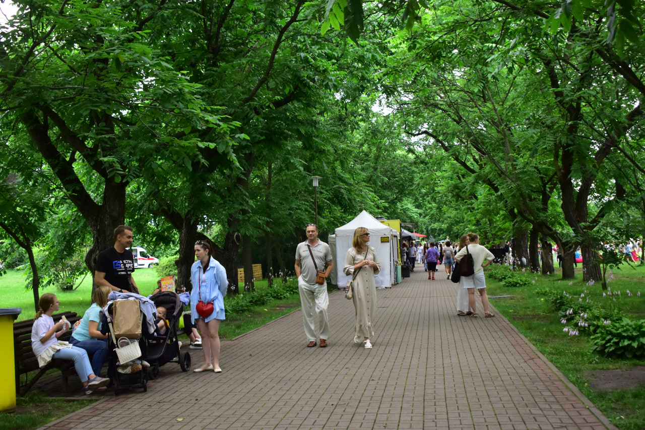 Городской трибьют пикник – лето состоялось! (33)