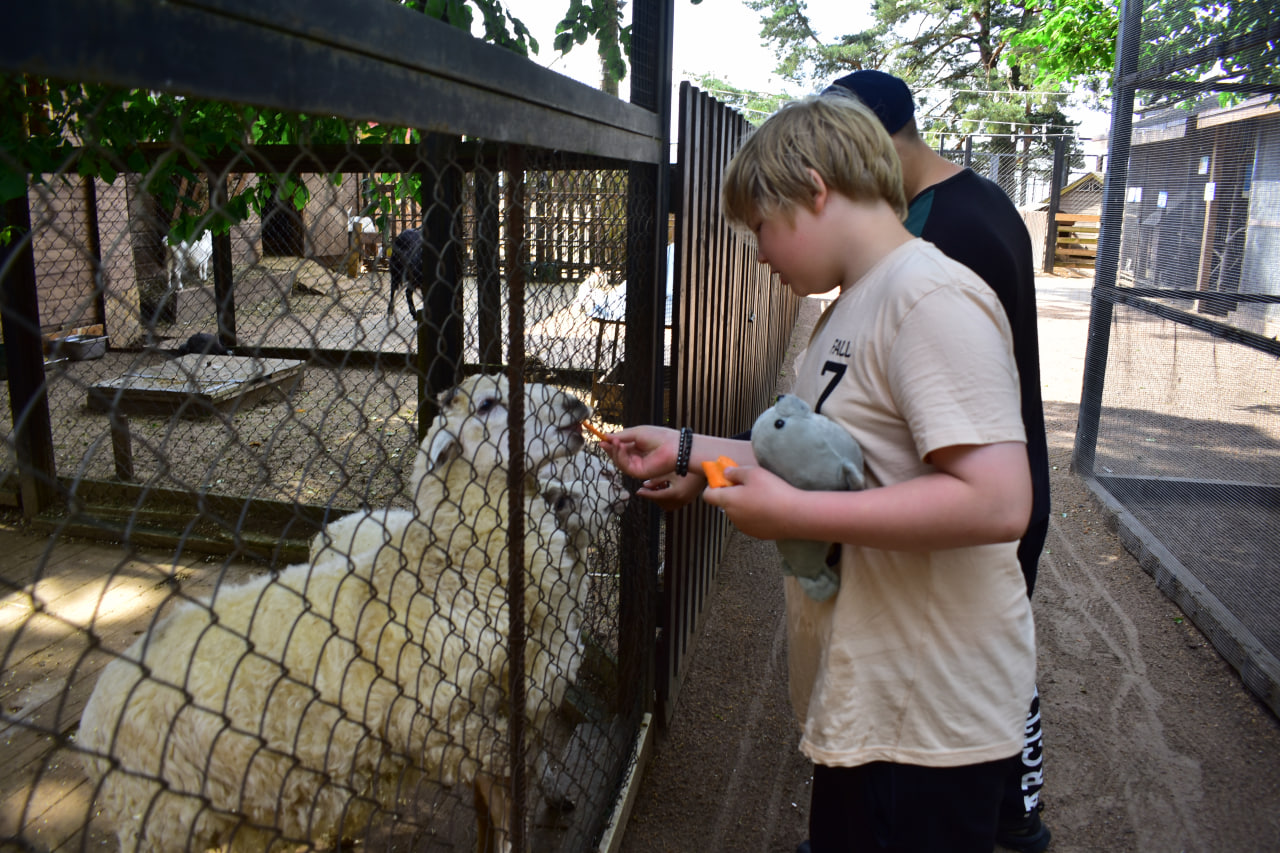 зоопарк Комарово