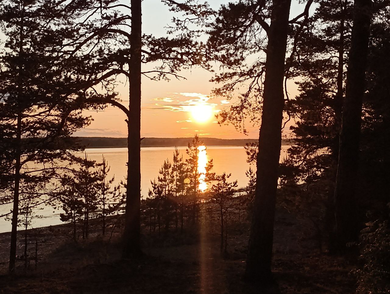 Финский залив