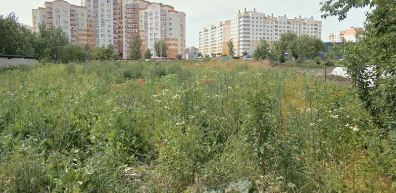 мак в Гродно 