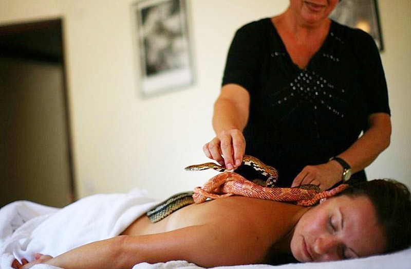 Массаж змеями