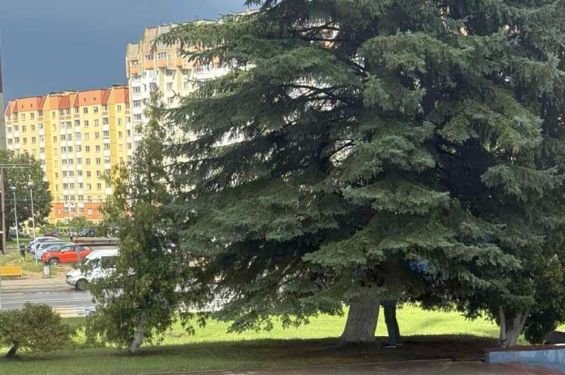 нарушение общественного порядка