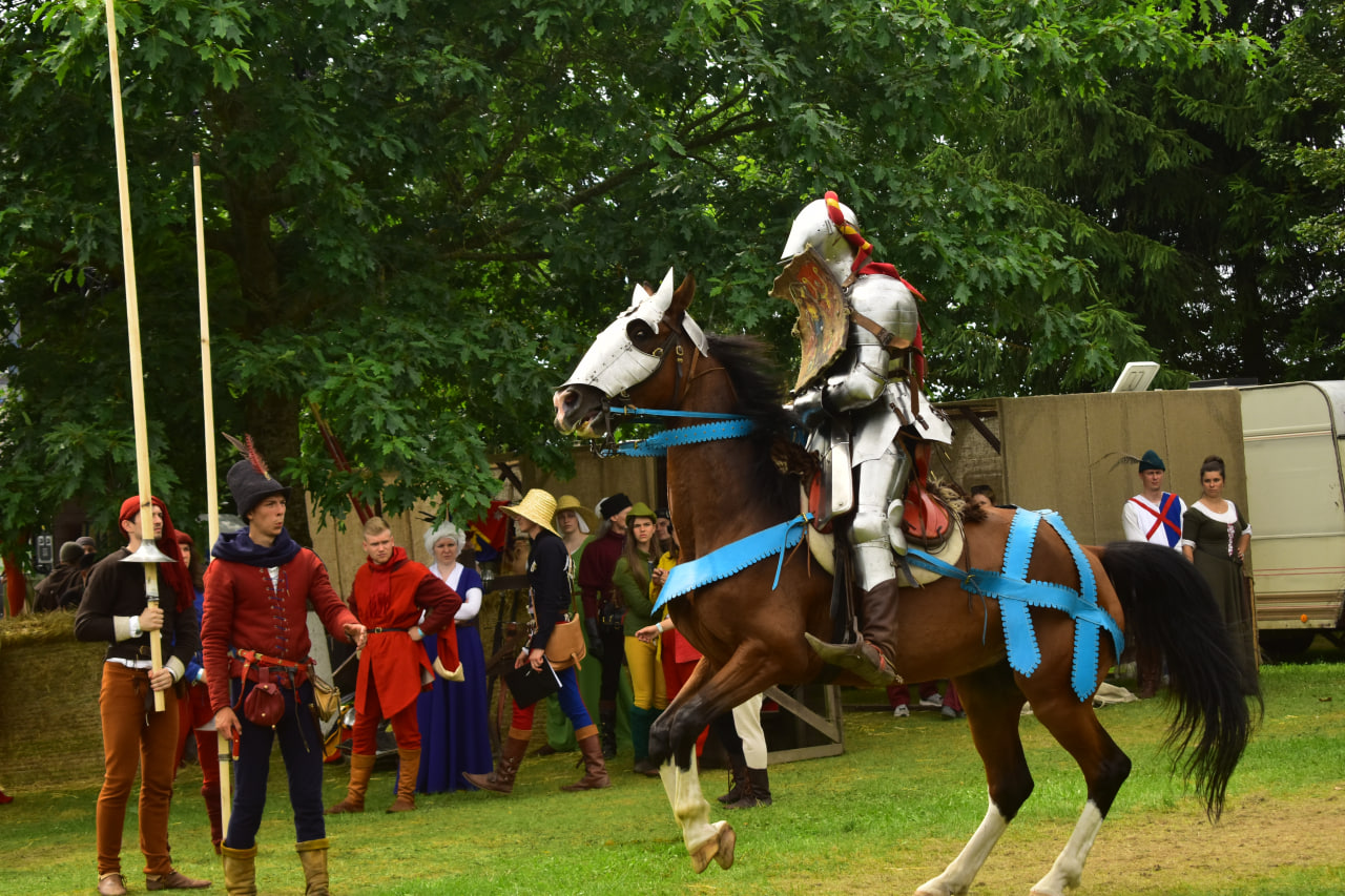 Наш Грюнвальд фестиваль