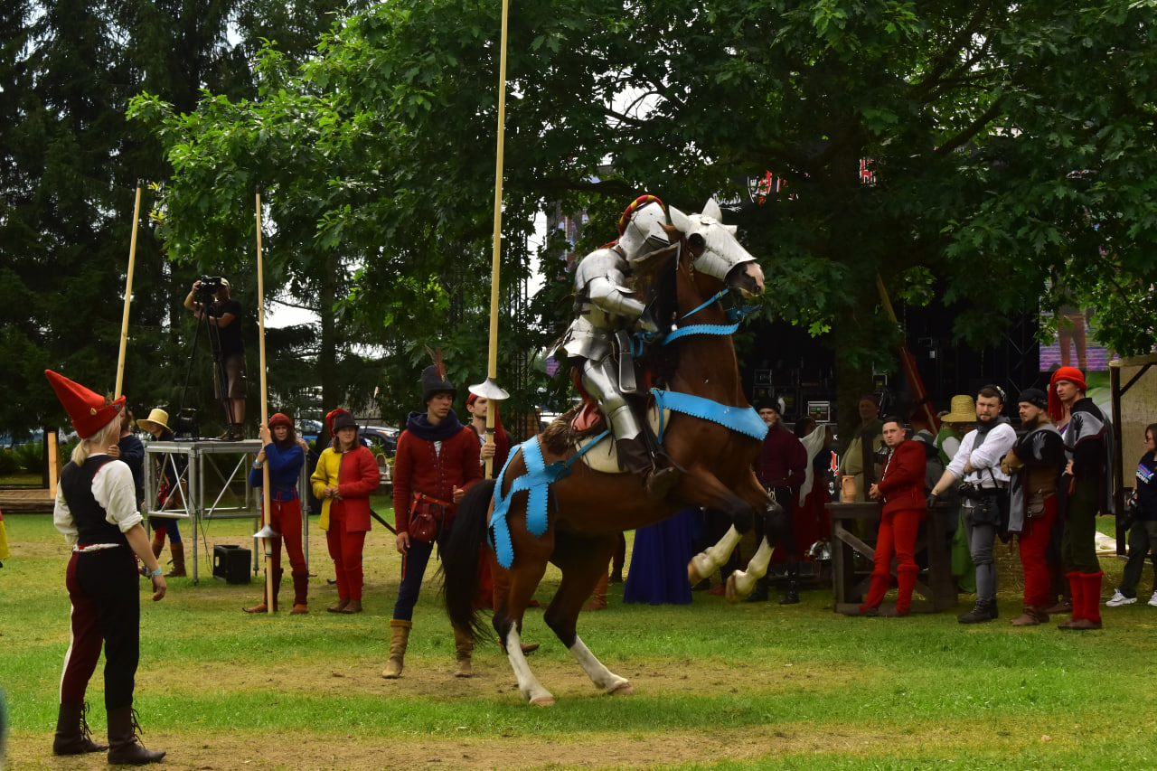 Наш Грюнвальд фестиваль