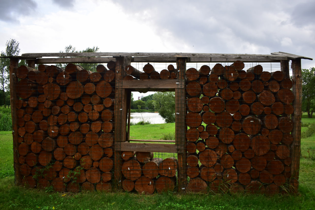 экотропа Окно в природу