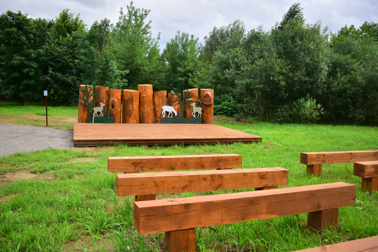 экотропа сцена