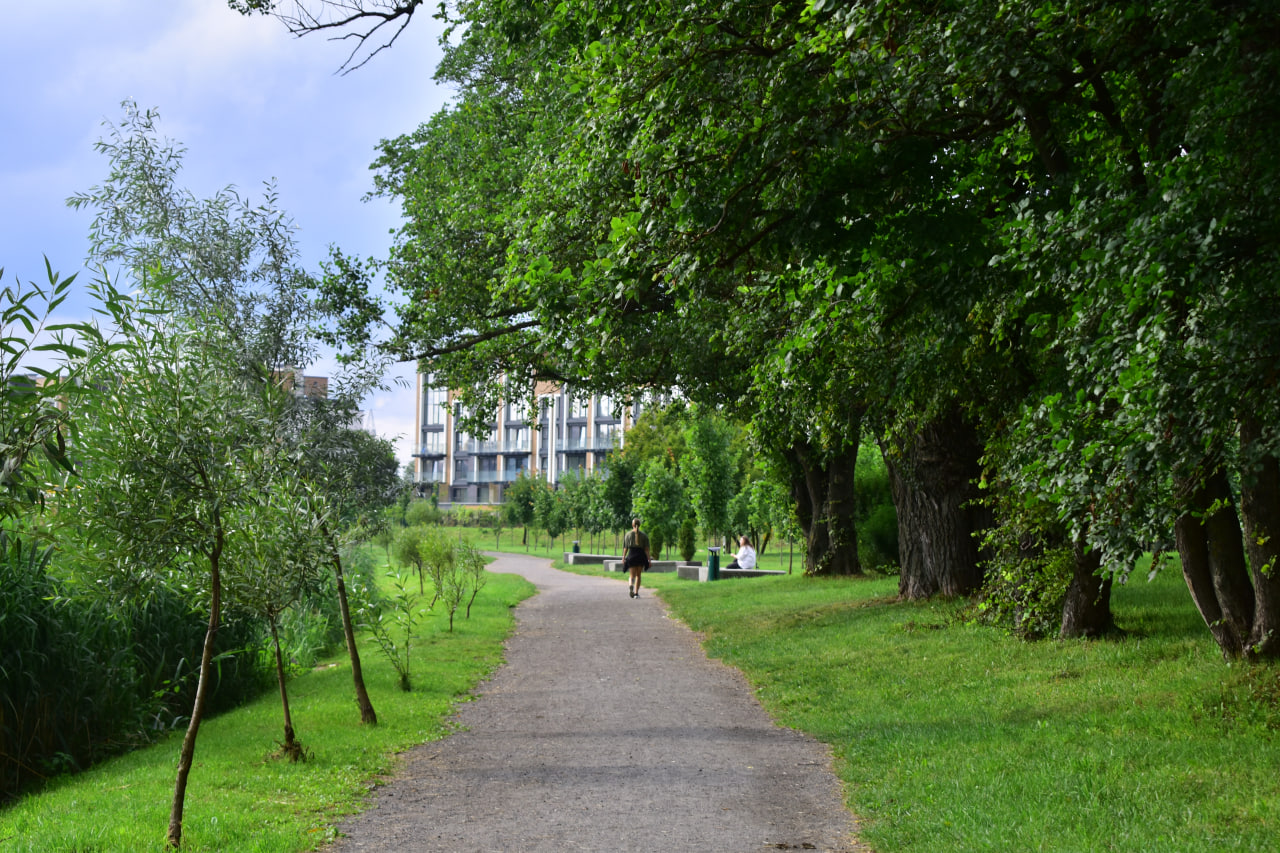 природа прогулка