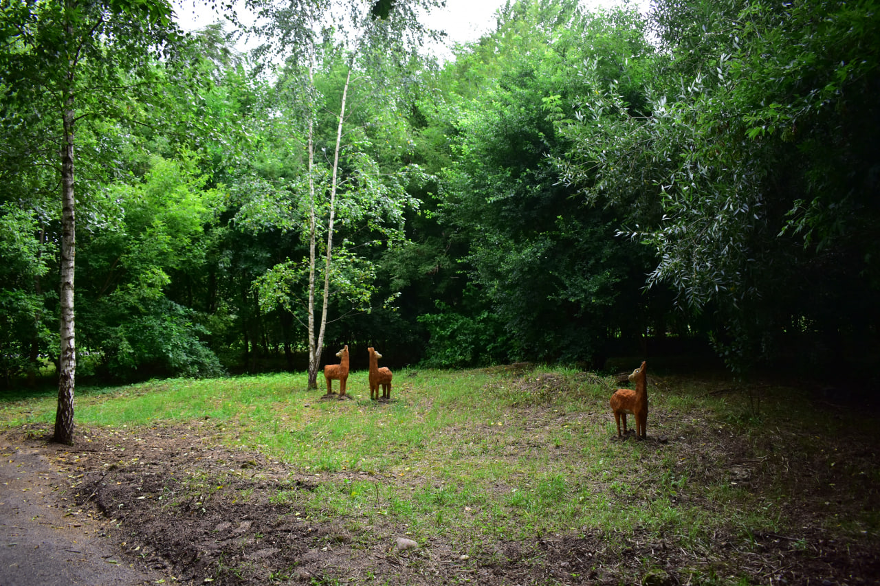 экотропа лес