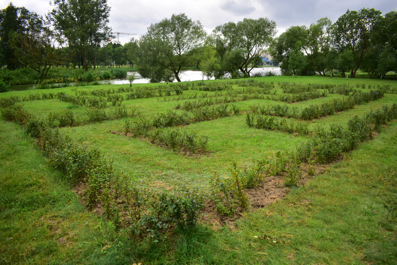 экотропа лабиринт