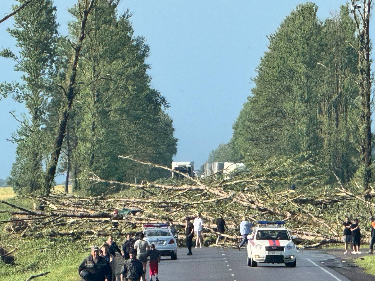 Мощный ураган обрушился на Витебскую область: последствия. ФОТО