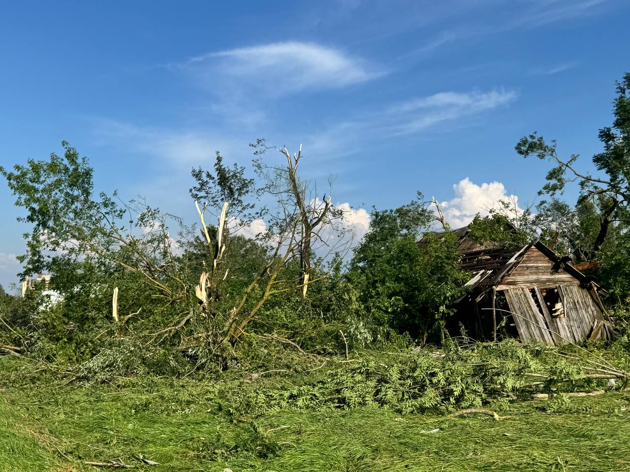 ураган витебская область