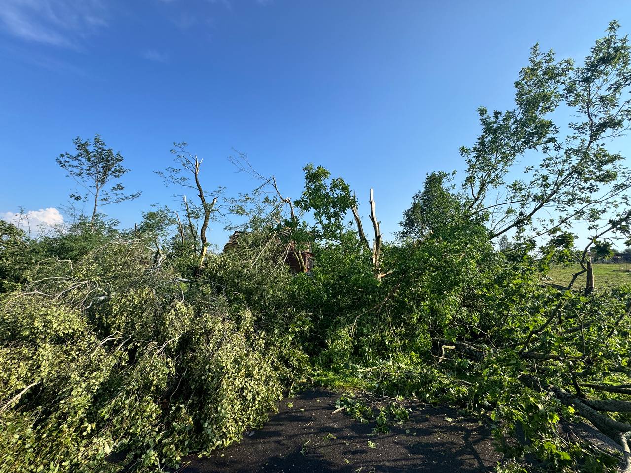 Мощный ураган обрушился на Витебскую область: последствия. ФОТО