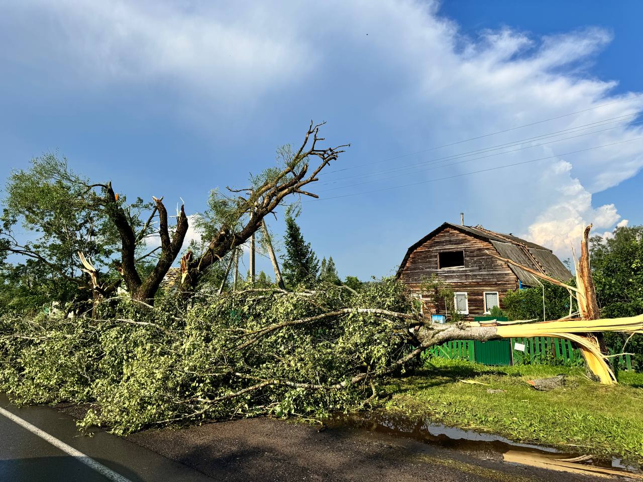 Мощный ураган обрушился на Витебскую область: последствия. ФОТО