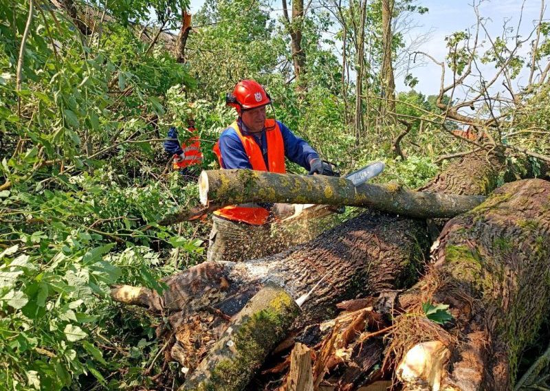 Последствия урагана 