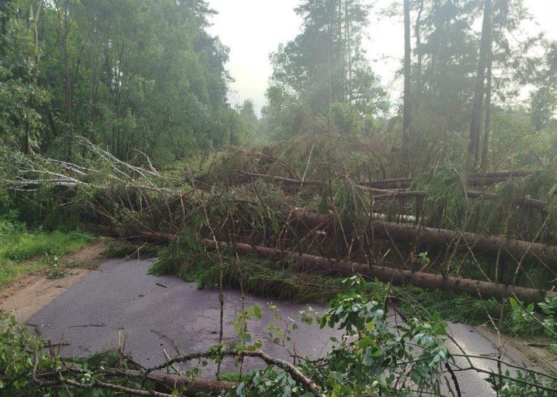 Последствия урагана 