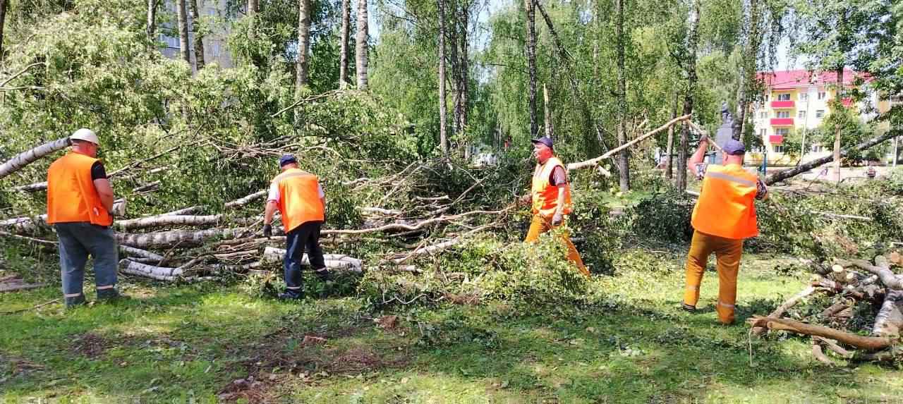Могилев после урагана