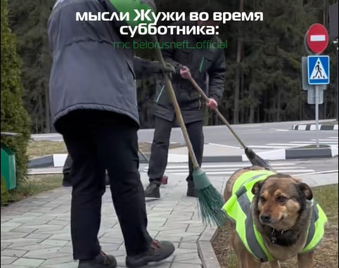 зумеры на заводе жужа