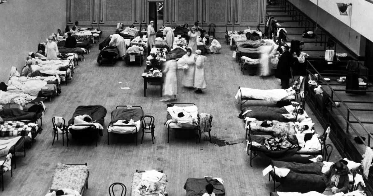 пандемия эпидемия грипп испанка