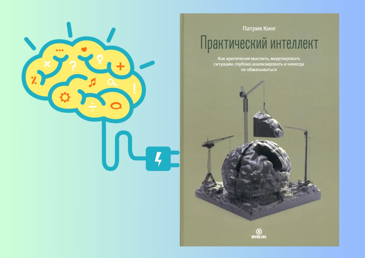 Практический интеллект. Патрик Кинг книга
