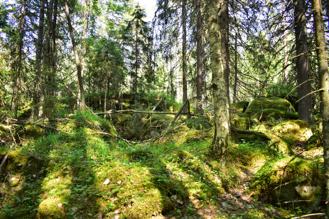 Карелия Ристиниеми Юляристиоя