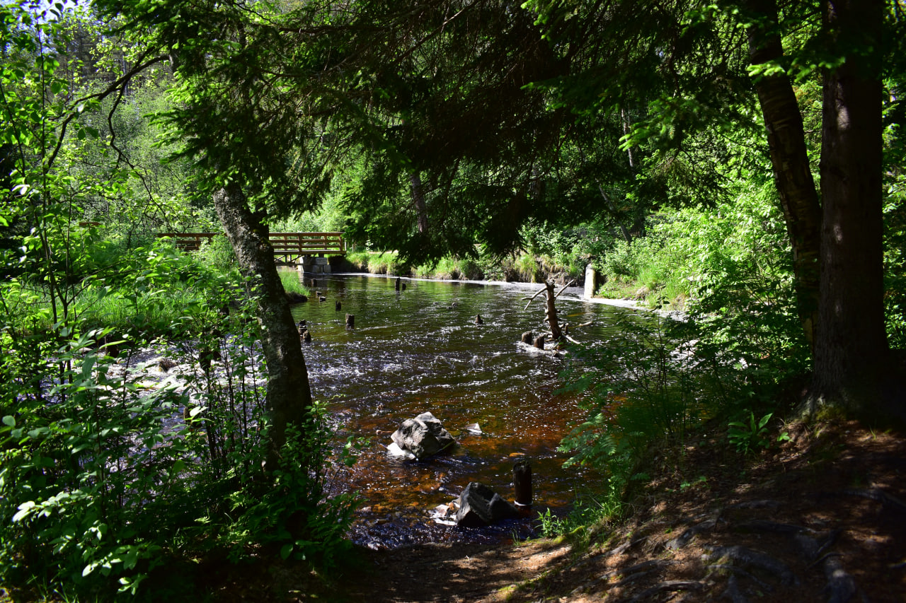 Нижний Койриноя река водопад Карелия
