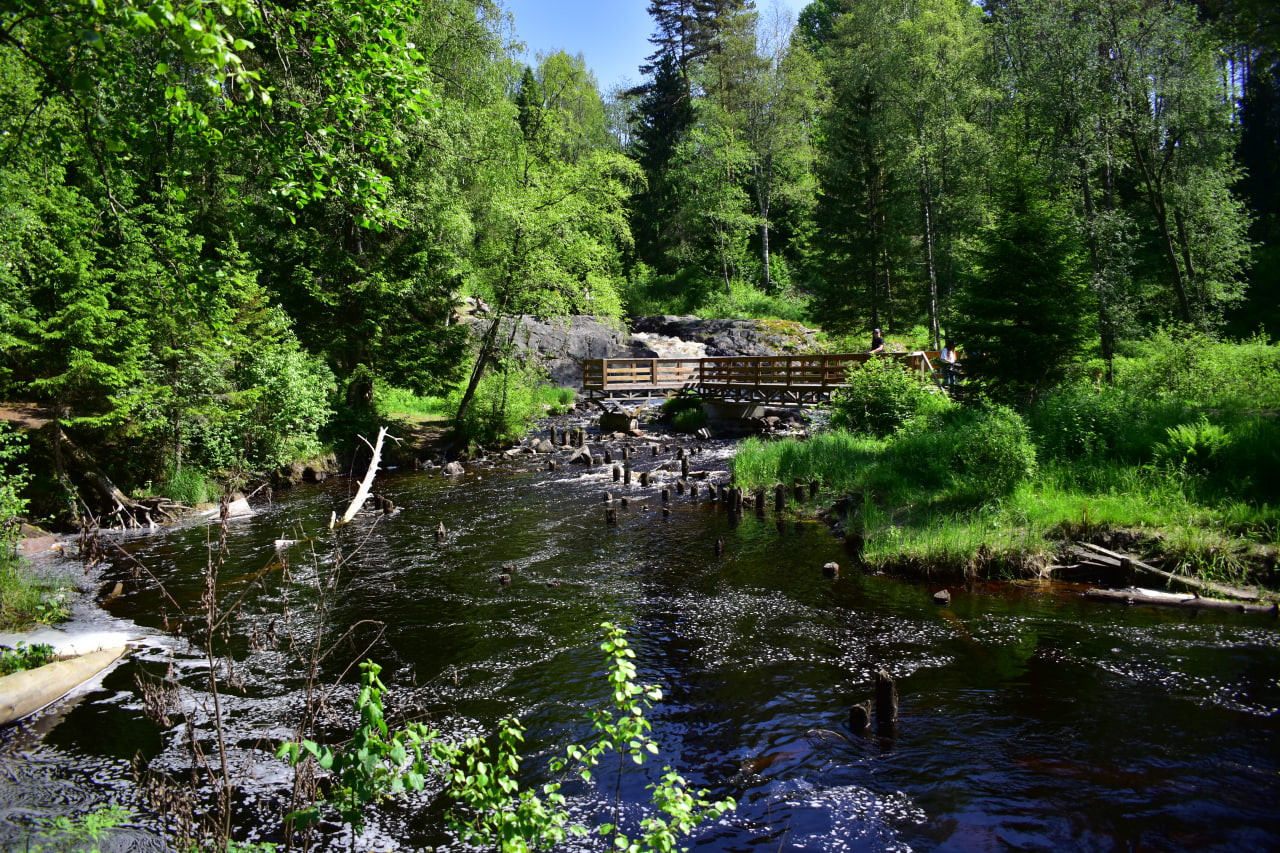 Нижний Койриноя река водопад Карелия
