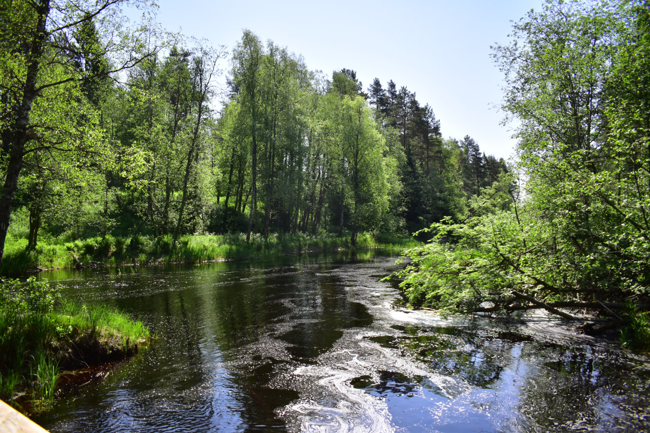 Нижний Койриноя река водопад Карелия