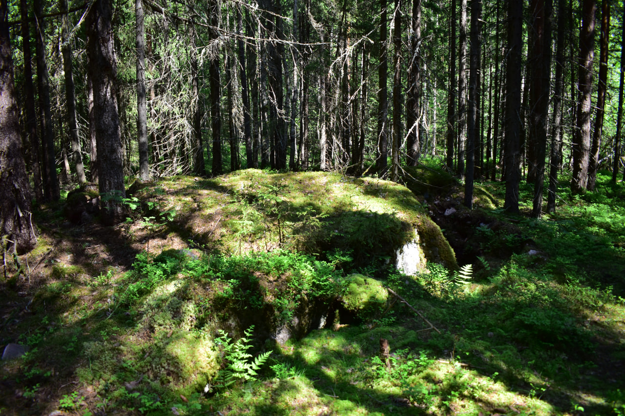 Питкяранта Карелия финские укрепления