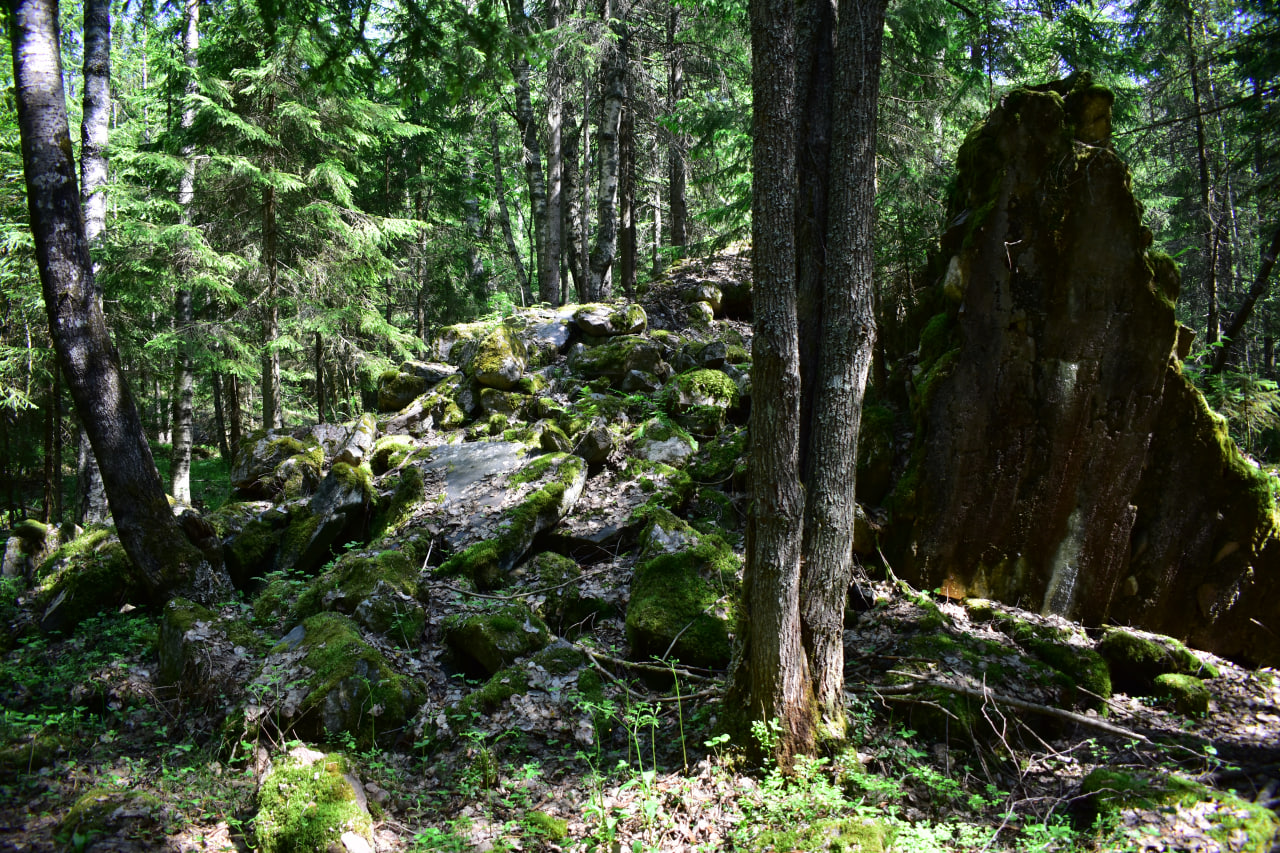 Питкяранта Карелия финские укрепления