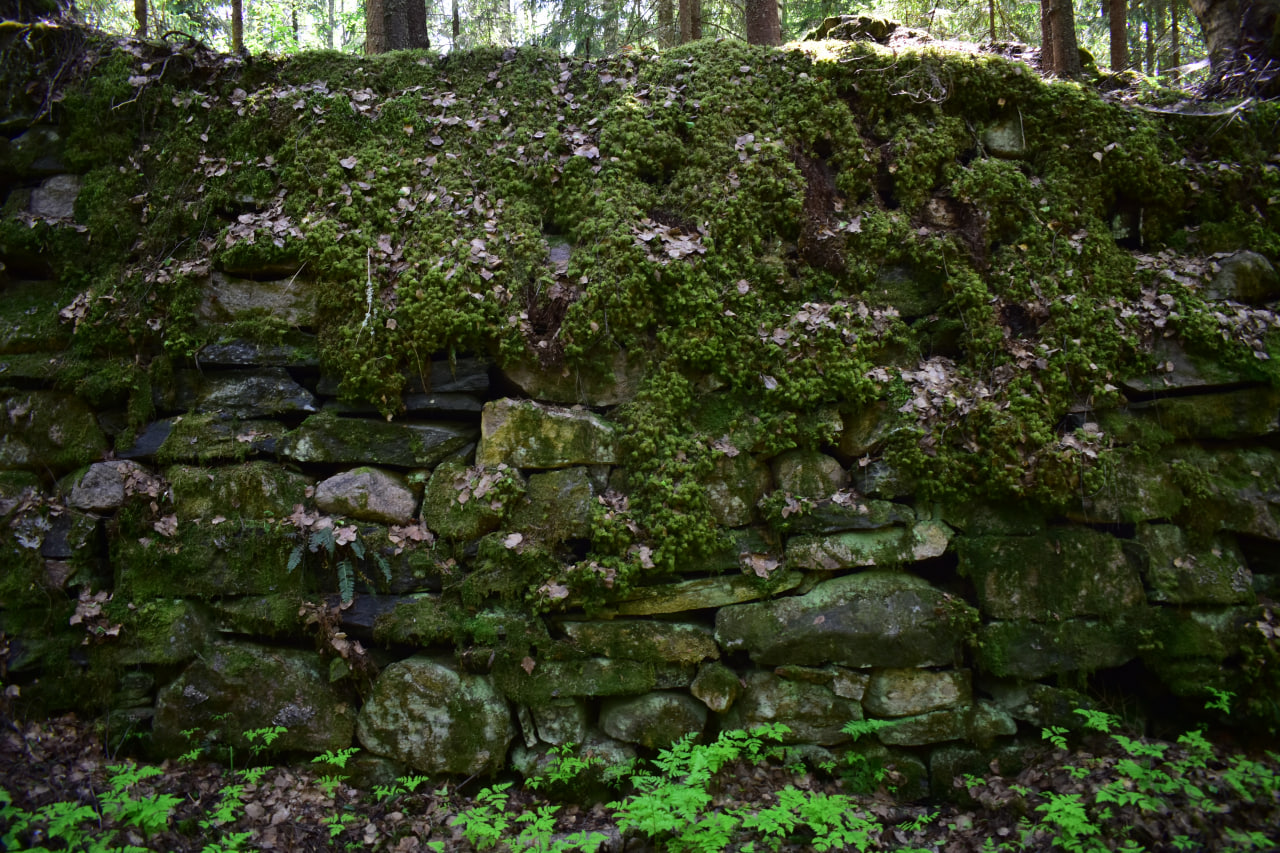 Питкяранта Карелия финские укрепления