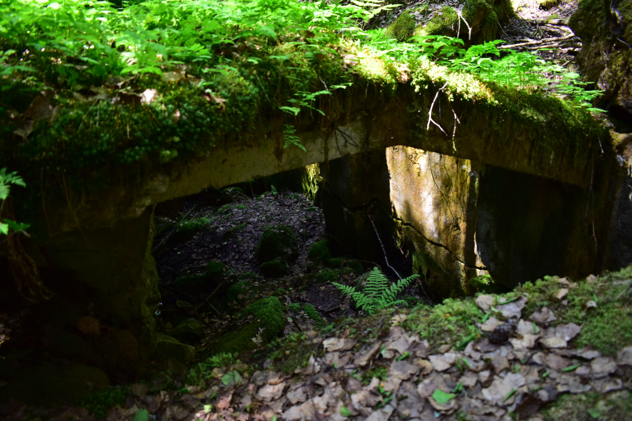 Питкяранта Карелия финские укрепления