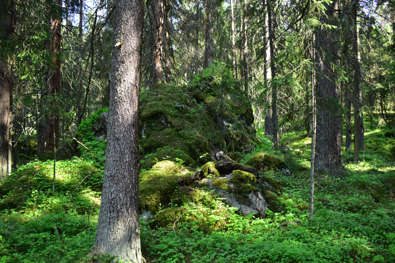 Карелия Ристиниеми Юляристиоя