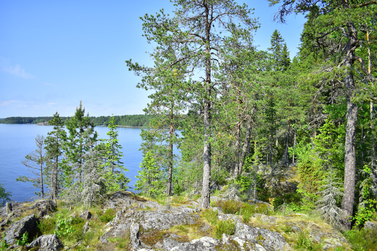 Карелия Ристиниеми Юляристиоя