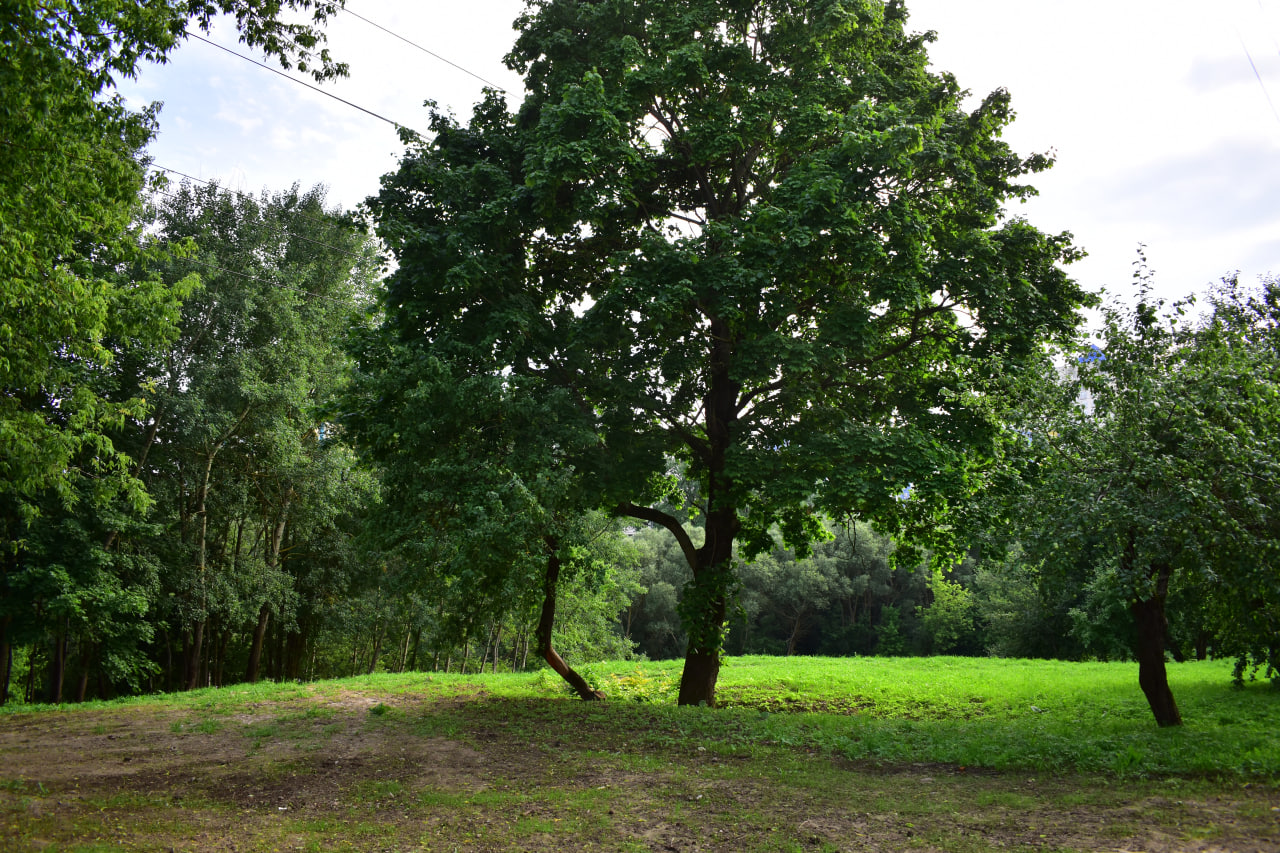 «Сад вершаў» парк