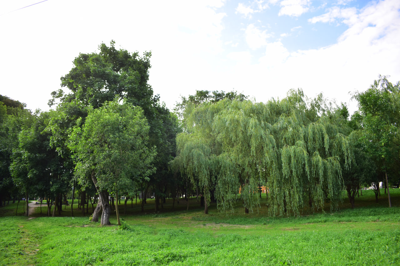 «Сад вершаў» парк