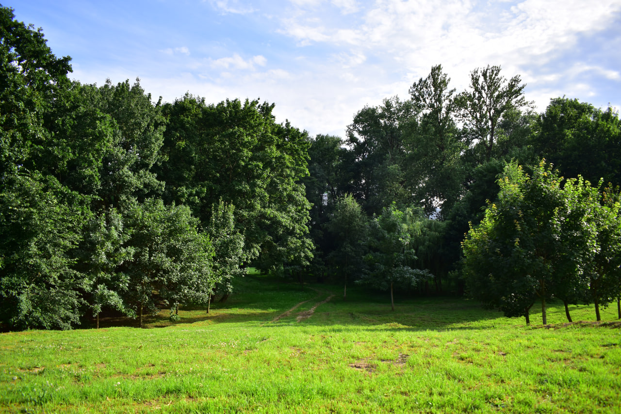 «Сад вершаў» парк
