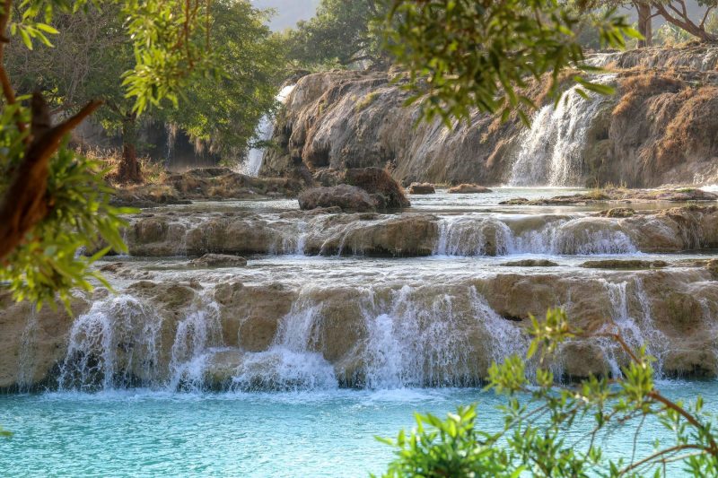 "Белавиа" снова запускает чартерные рейсы в Салалу