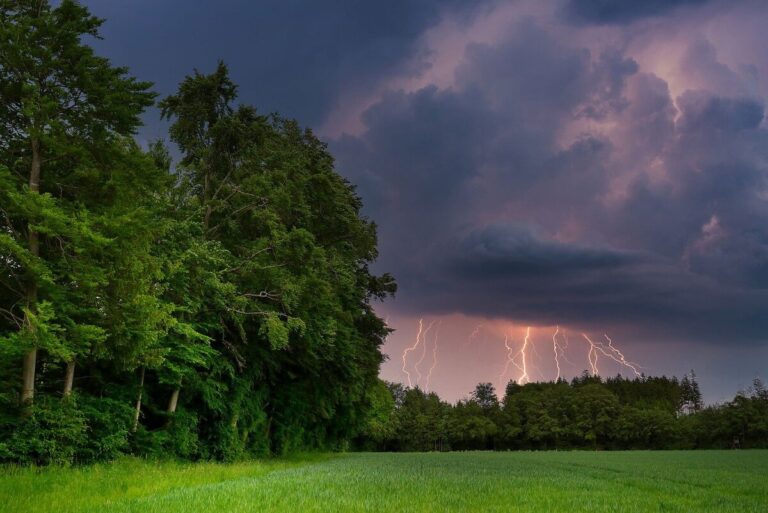 гроза шторм брест
