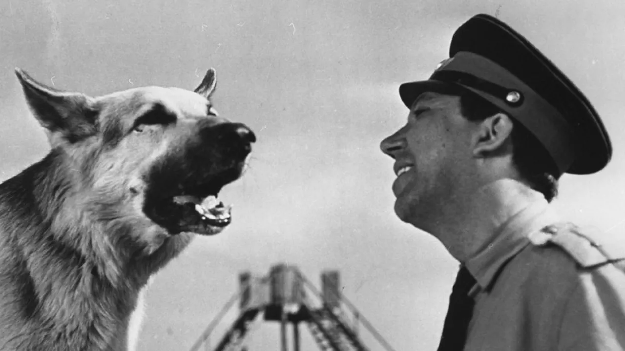 Кадр из фильма "Ко мне, Мухтар!"