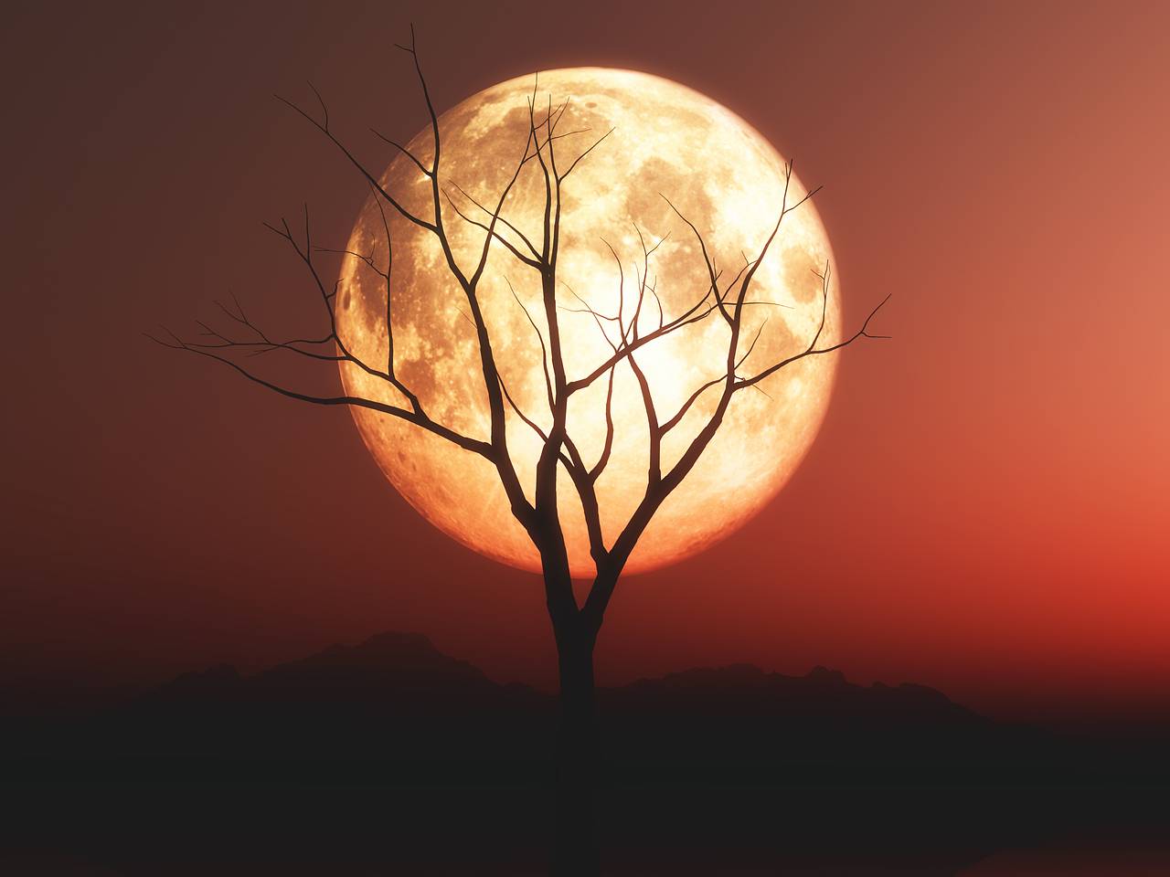 ленный календарь луна